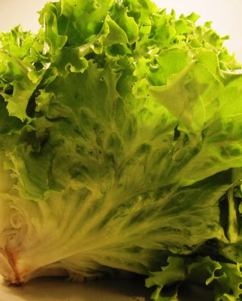 Grazer Salat