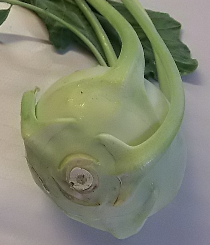 Kohlrabi